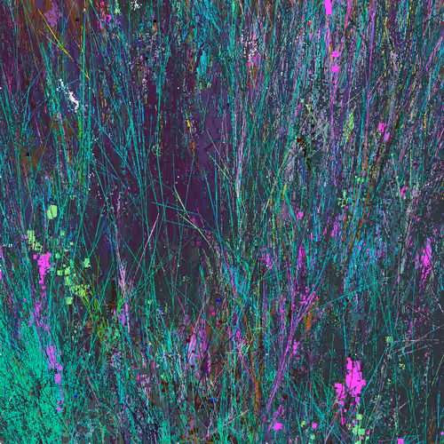 Infinite Garden: 230046 Flowers