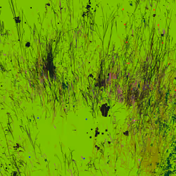 Infinite Garden: 13867 Flowers
