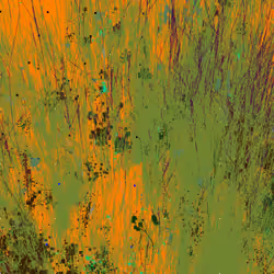 Infinite Garden: 144367 Flowers