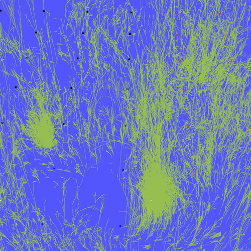 Infinite Garden: 22966 Flowers