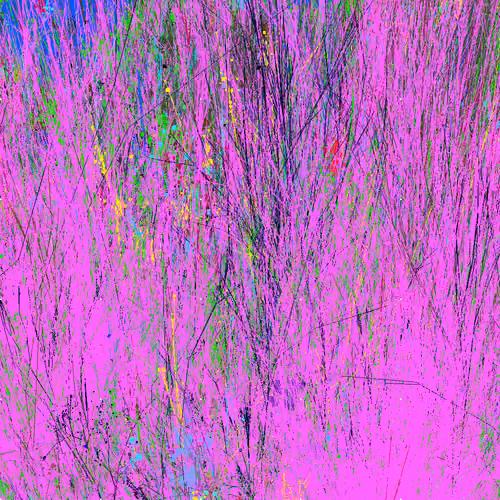 Infinite Garden: 1555146 Flowers