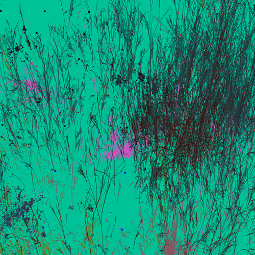 Infinite Garden: 31862 Flowers