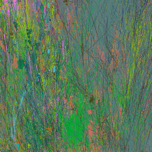 Infinite Garden: 638773 Flowers
