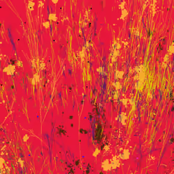 Infinite Garden: 19791 Flowers