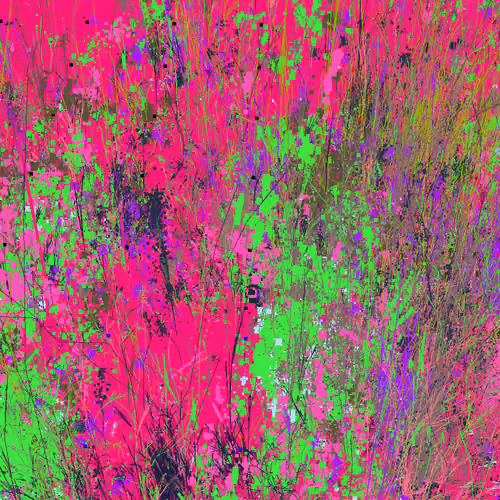 Infinite Garden: 57251 Flowers