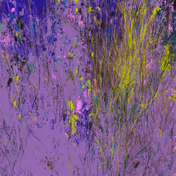 Infinite Garden: 216096 Flowers