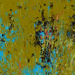 Infinite Garden: 13700 Flowers