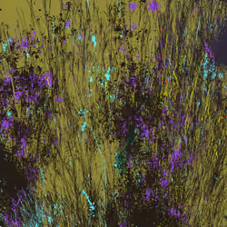 Infinite Garden: 35943 Flowers
