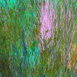 Infinite Garden: 227455 Flowers