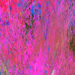 Infinite Garden: 254959 Flowers