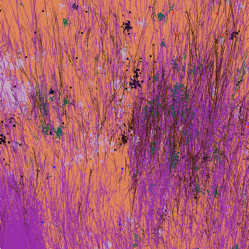 Infinite Garden: 110008 Flowers