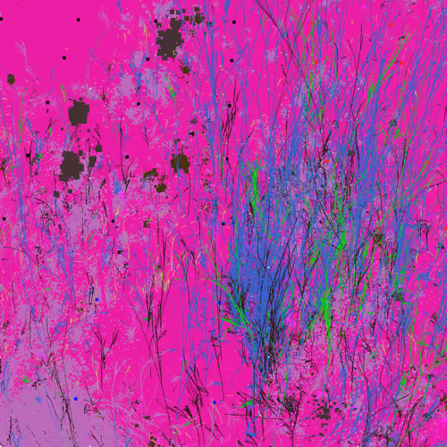 Infinite Garden: 27626 Flowers