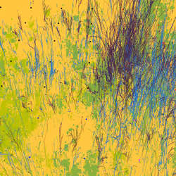 Infinite Garden: 23758 Flowers