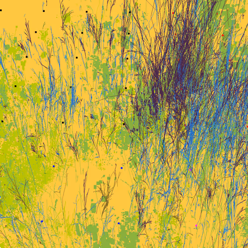 Infinite Garden: 23758 Flowers