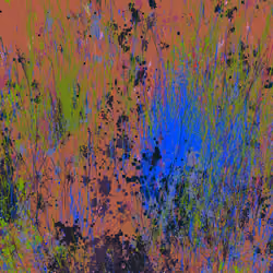 Infinite Garden: 48764 Flowers