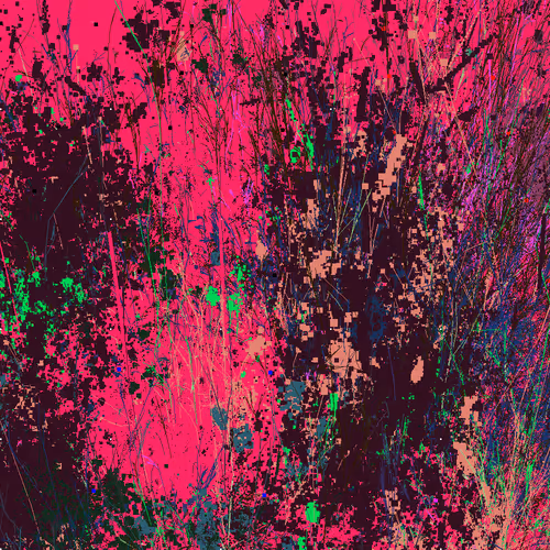 Infinite Garden: 53491 Flowers