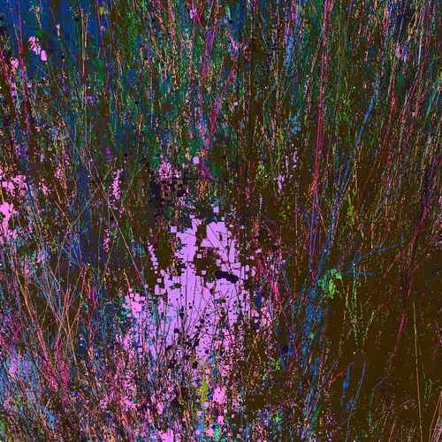 Infinite Garden: 274869 Flowers