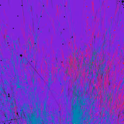 Infinite Garden: 11731 Flowers