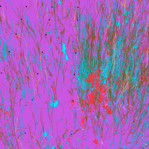 Infinite Garden: 29548 Flowers