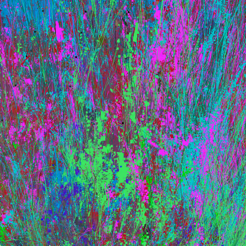 Infinite Garden: 180002 Flowers