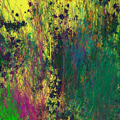 Infinite Garden: 74922 Flowers
