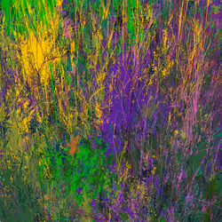 Infinite Garden: 167253 Flowers