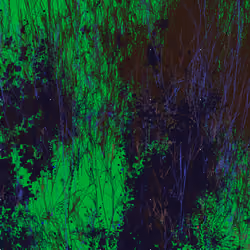 Infinite Garden: 38287 Flowers