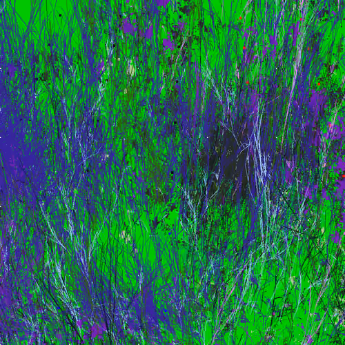 Infinite Garden: 44737 Flowers