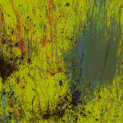 Infinite Garden: 34073 Flowers