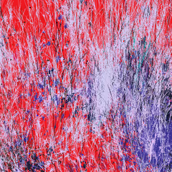Infinite Garden: 39874 Flowers