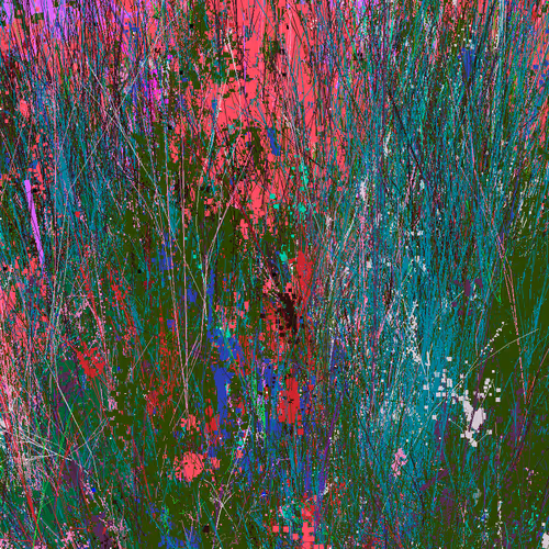Infinite Garden: 236630 Flowers
