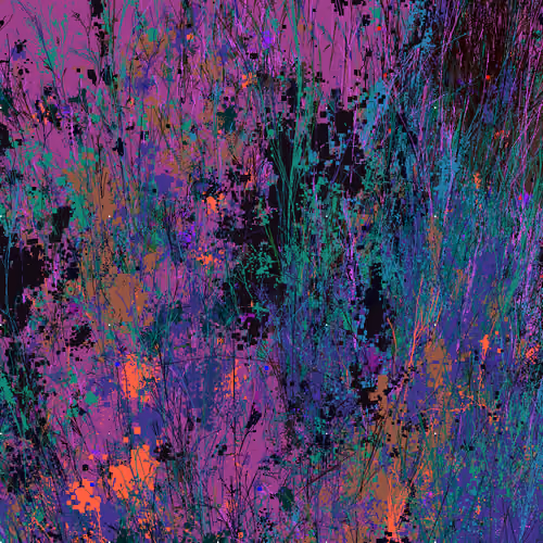 Infinite Garden: 81409 Flowers