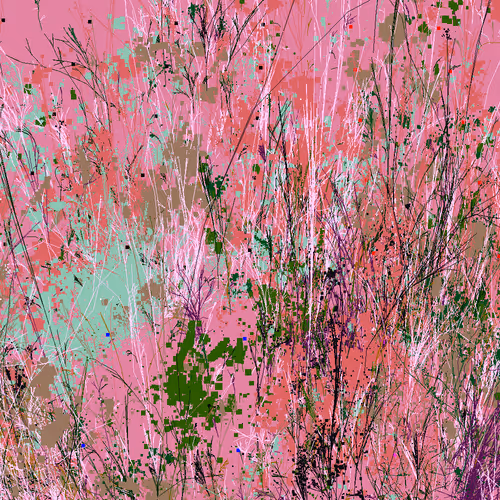Infinite Garden: 65047 Flowers