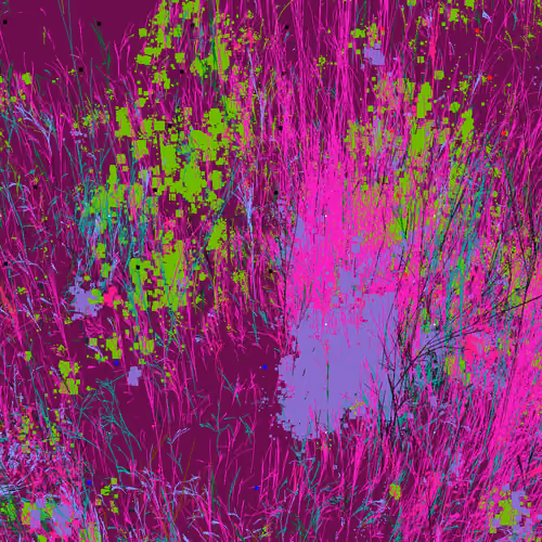 Infinite Garden: 41021 Flowers