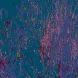 Infinite Garden: 61618 Flowers