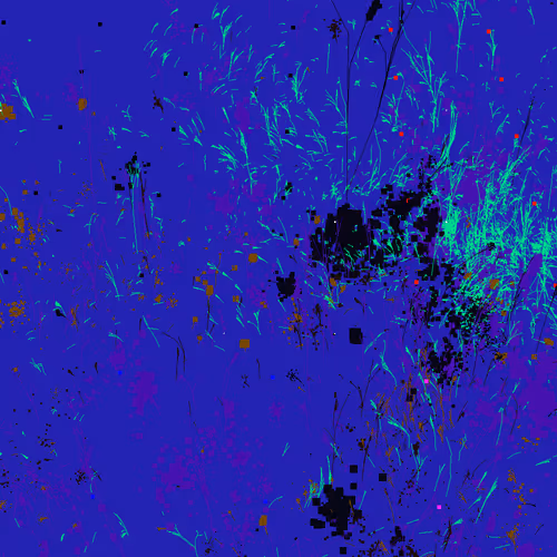 Infinite Garden: 7371 Flowers
