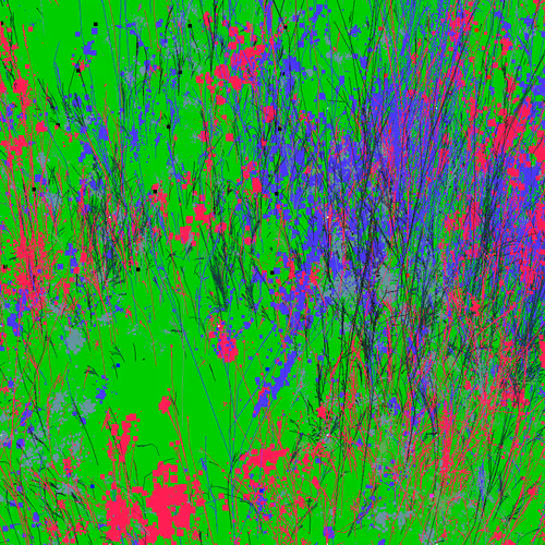 Infinite Garden: 29527 Flowers