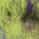 Infinite Garden: 102989 Flowers