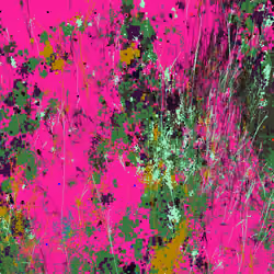 Infinite Garden: 32137 Flowers