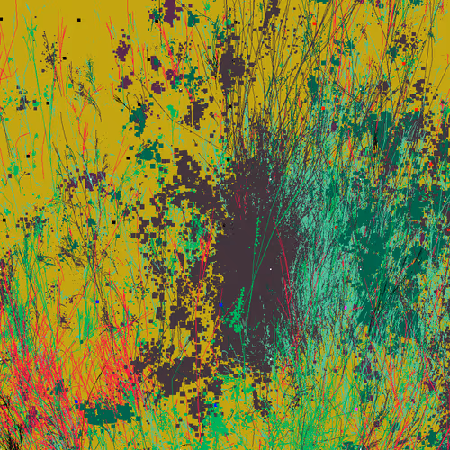 Infinite Garden: 37830 Flowers