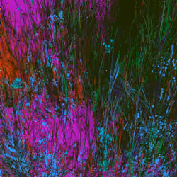 Infinite Garden: 452351 Flowers