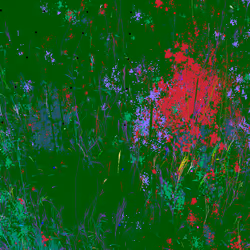 Infinite Garden: 16518 Flowers
