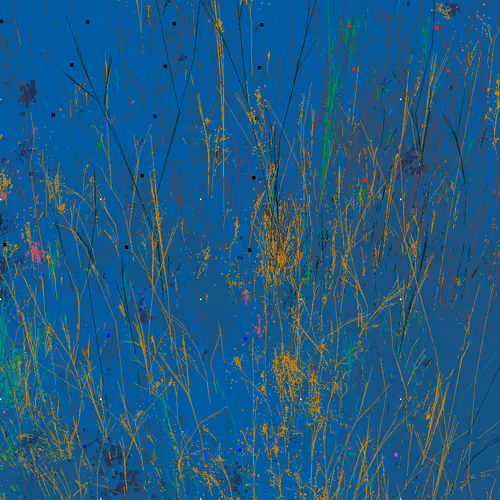 Infinite Garden: 33639 Flowers