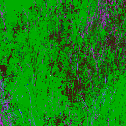 Infinite Garden: 43623 Flowers