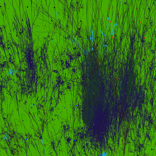 Infinite Garden: 13462 Flowers