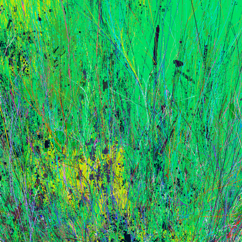 Infinite Garden: 211256 Flowers