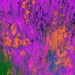 Infinite Garden: 76151 Flowers