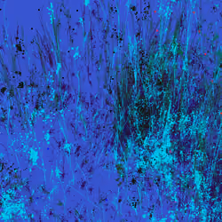 Infinite Garden: 23137 Flowers