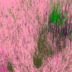 Infinite Garden: 32738 Flowers