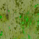 Infinite Garden: 14198 Flowers